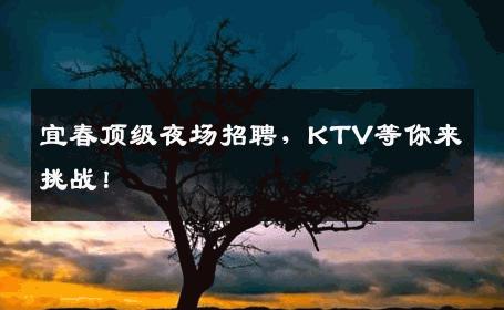 宜春顶级夜场招聘，KTV等你来挑战！