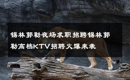 锡林郭勒夜场求职招聘锡林郭勒高档KTV招聘火爆来袭