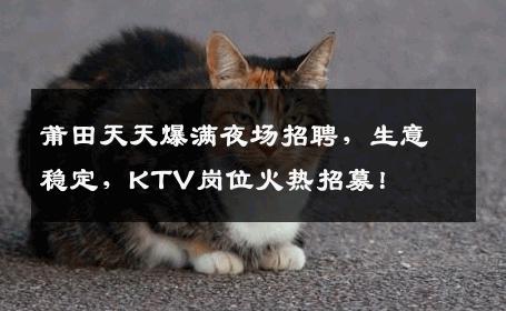 莆田天天爆满夜场招聘，生意稳定，KTV岗位火热招募！