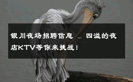 银川夜场招聘信息 _ 四溢的夜店KTV等你来挑战！