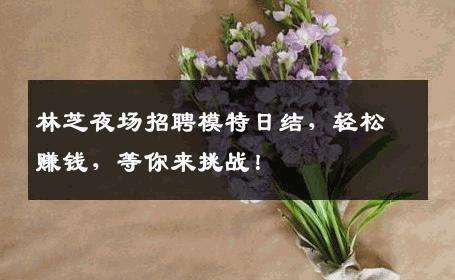 林芝夜场招聘模特日结，轻松赚钱，等你来挑战！