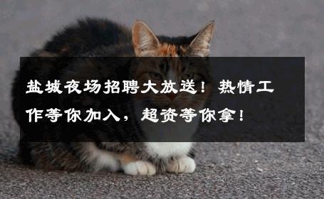 盐城夜场招聘大放送！热情工作等你加入，超资等你拿！