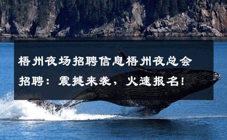 梧州夜场招聘信息梧州夜总会招聘：震撼来袭，火速报名！