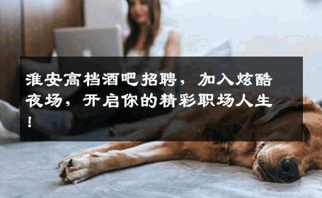 淮安高档酒吧招聘，加入炫酷夜场，开启你的精彩职场人生！