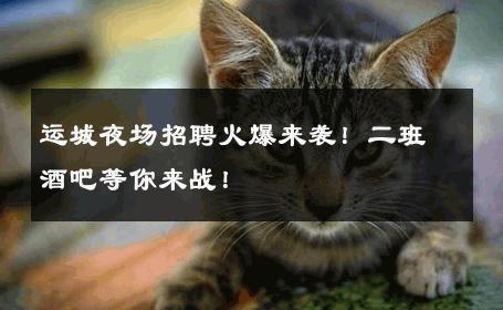 运城夜场招聘火爆来袭！二班酒吧等你来战！