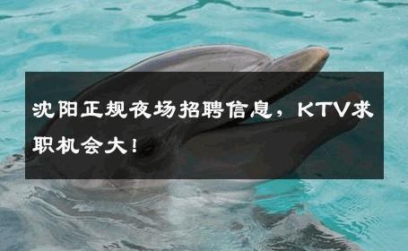 沈阳正规夜场招聘信息，KTV求职机会大！