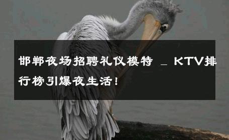 邯郸夜场招聘礼仪模特 _ KTV排行榜引爆夜生活！