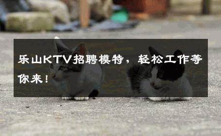 乐山KTV招聘模特，轻松工作等你来！