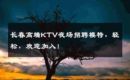 长春高端KTV夜场招聘模特，轻松，欢迎加入！
