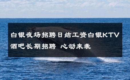 白银夜场招聘日结工资白银KTV酒吧长期招聘 心动来袭