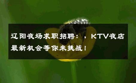 辽阳夜场求职招聘：，KTV夜店最新机会等你来挑战！