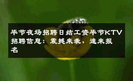 毕节夜场招聘日结工资毕节KTV招聘信息：震撼来袭，速来报名