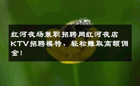 红河夜场兼职招聘网红河夜店KTV招聘模特，轻松赚取高额佣金！