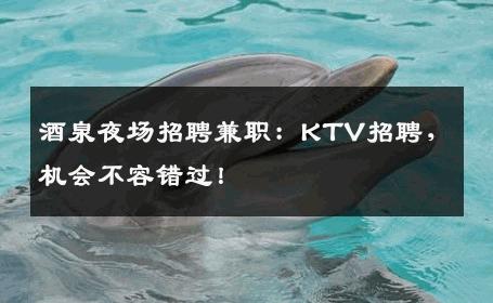 酒泉夜场招聘兼职：KTV招聘，机会不容错过！