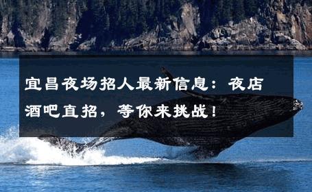 宜昌夜场招人最新信息：夜店酒吧直招，等你来挑战！