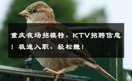 重庆夜场招模特，KTV招聘信息！极速入职，轻松赚！