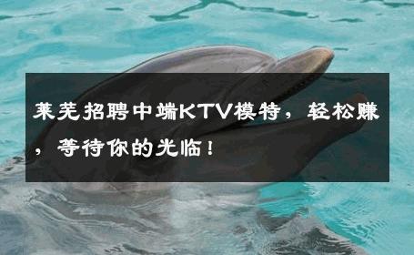 莱芜招聘中端KTV模特，轻松赚，等待你的光临！