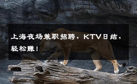 上海夜场兼职招聘，KTV日结，轻松赚！