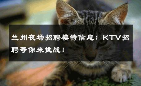 兰州夜场招聘模特信息：KTV招聘等你来挑战！