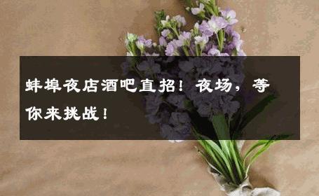 蚌埠夜店酒吧直招！夜场，等你来挑战！