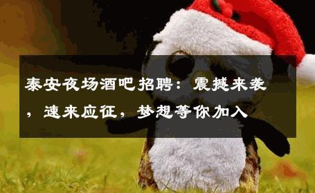 泰安夜场酒吧招聘：震撼来袭，速来应征，梦想等你加入