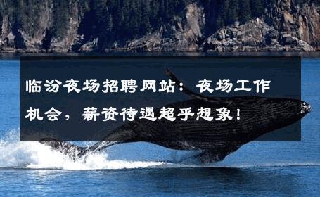 临汾夜场招聘网站：夜场工作机会，薪资待遇超乎想象！