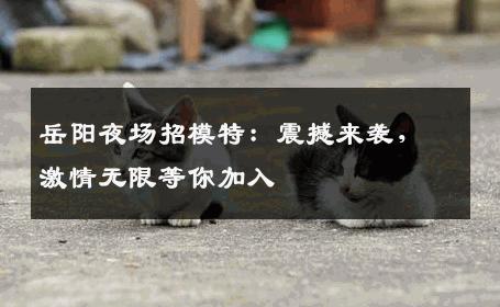 岳阳夜场招模特：震撼来袭，激情无限等你加入