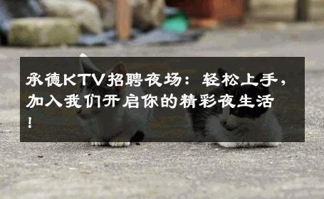 承德KTV招聘夜场：轻松上手，加入我们开启你的精彩夜生活！
