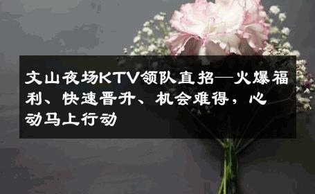 文山夜场KTV领队直招—火爆福利、快速晋升、机会难得，心动马上行动