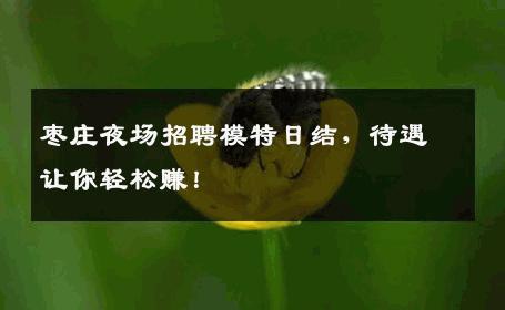 枣庄夜场招聘模特日结，待遇让你轻松赚！