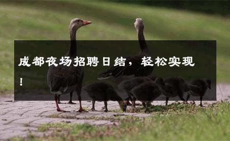 成都夜场招聘日结，轻松实现！