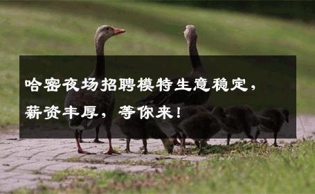 哈密夜场招聘模特生意稳定，薪资丰厚，等你来！