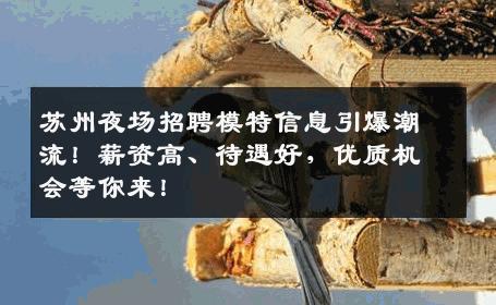 苏州夜场招聘模特信息引爆潮流！薪资高、待遇好，优质机会等你来！
