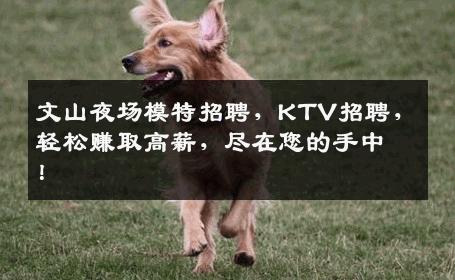 文山夜场模特招聘，KTV招聘，轻松赚取高薪，尽在您的手中！