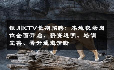 银川KTV长期招聘：本地夜场岗位全面开启，薪资透明、培训完善、晋升通道清晰