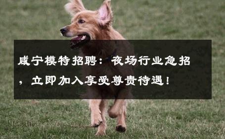 咸宁模特招聘：夜场行业急招，立即加入享受尊贵待遇！