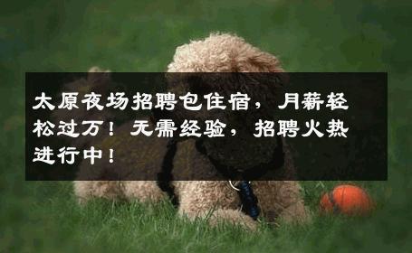 太原夜场招聘包住宿，月薪轻松过万！无需经验，招聘火热进行中！