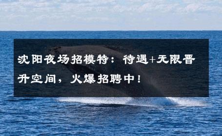 沈阳夜场招模特：待遇+无限晋升空间，火爆招聘中！