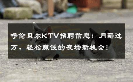 呼伦贝尔KTV招聘信息：月薪过万，轻松赚钱的夜场新机会！