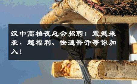 汉中高档夜总会招聘：震撼来袭，超福利、快速晋升等你加入！
