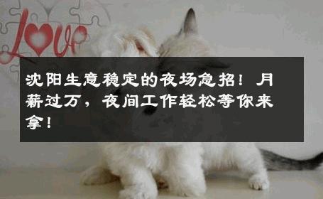 沈阳生意稳定的夜场急招！月薪过万，夜间工作轻松等你来拿！