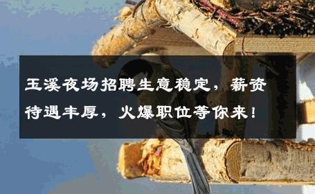 玉溪夜场招聘生意稳定，薪资待遇丰厚，火爆职位等你来！