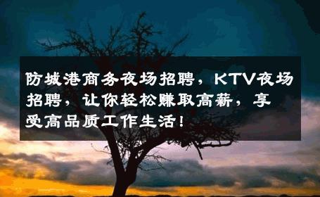 防城港商务夜场招聘，KTV夜场招聘，让你轻松赚取高薪，享受高品质工作生活！