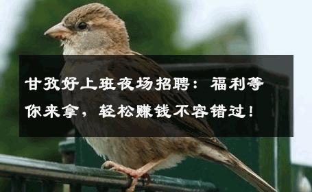甘孜好上班夜场招聘：福利等你来拿，轻松赚钱不容错过！