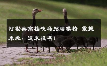 阿勒泰高档夜场招聘模特 震撼来袭，速来报名！