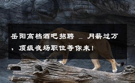 岳阳高档酒吧招聘 _ 月薪过万，顶级夜场职位等你来！