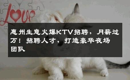 惠州生意火爆KTV招聘，月薪过万！招聘人才，打造豪华夜场团队