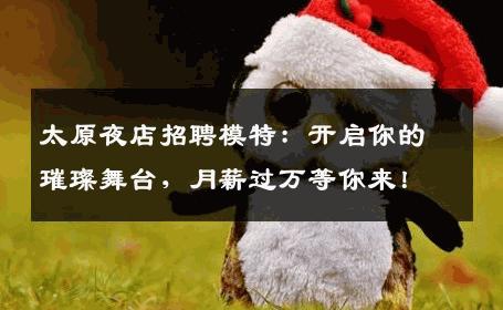 太原夜店招聘模特：开启你的璀璨舞台，月薪过万等你来！