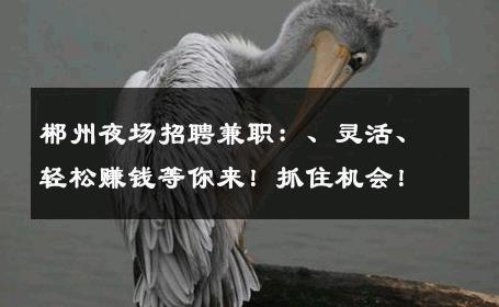 郴州夜场招聘兼职：、灵活、轻松赚钱等你来！抓住机会！