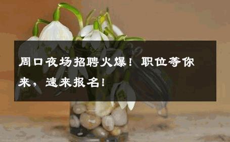 周口夜场招聘火爆！职位等你来，速来报名！